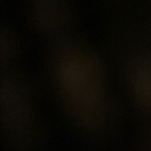 Meet your Posher, Shamara